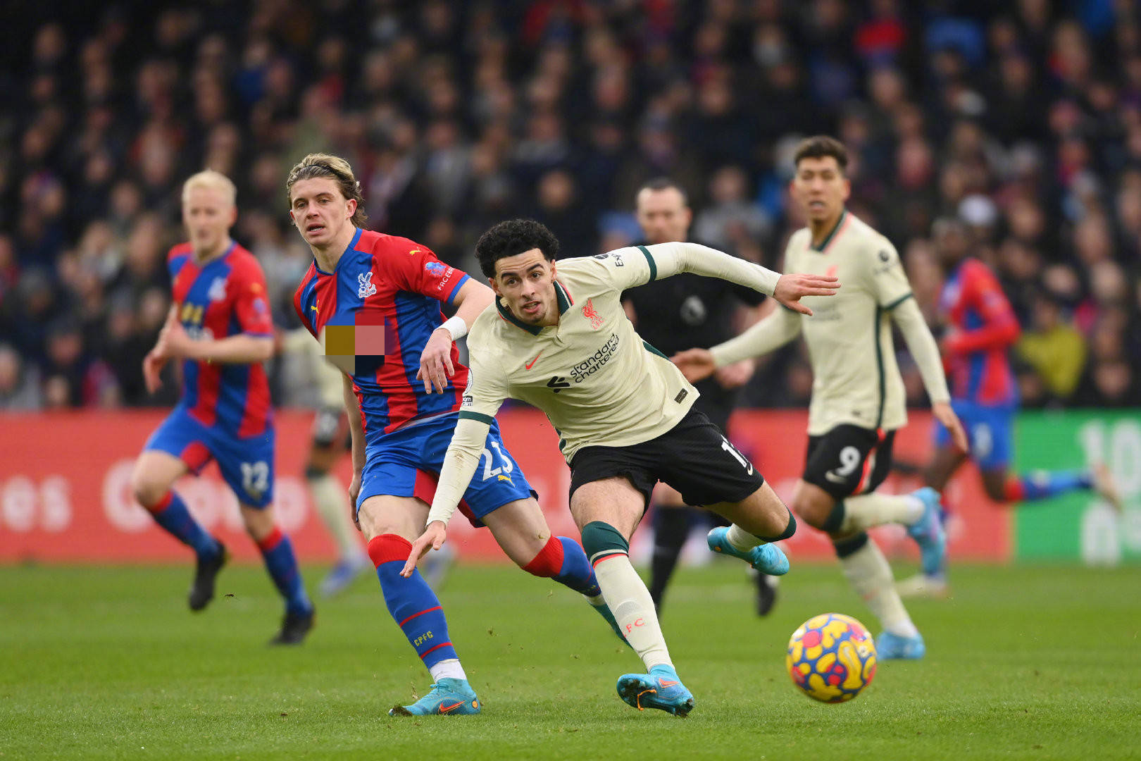 奇的决策边 奇的决策边